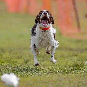 Meet your Posher, Carol ann